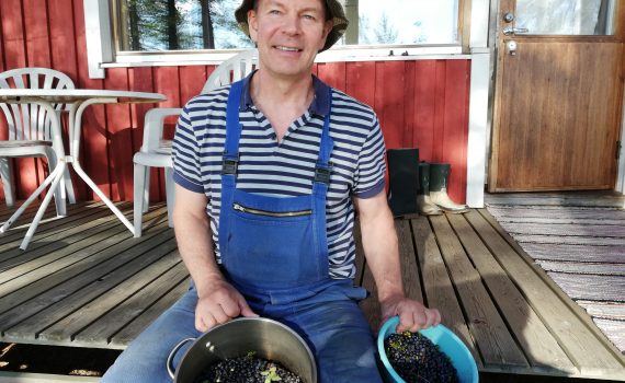 marjat ovat terveellisiä